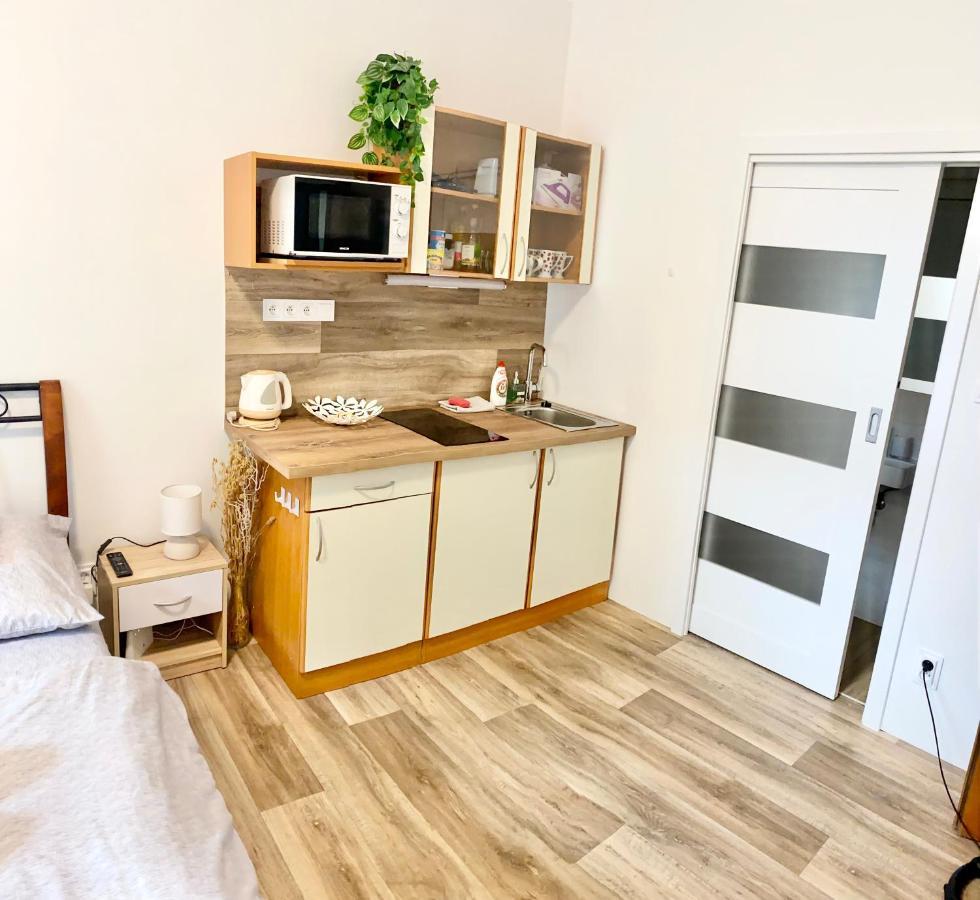 Private Apartment - Park Olomouc - Super Lokalita Екстериор снимка